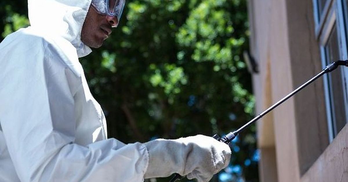 Técnico con EPI tratando junto al arbolado de una vivienda