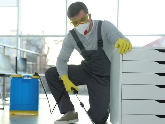 Técnico con mascarilla aplicando protector con pulverizador de presión junto a un mueble de cajones