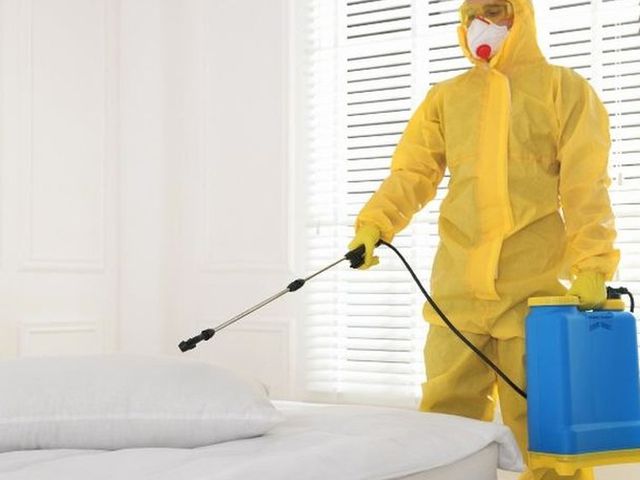 Técnico con buzo amarillo tratando la cama y el somier de una habitación