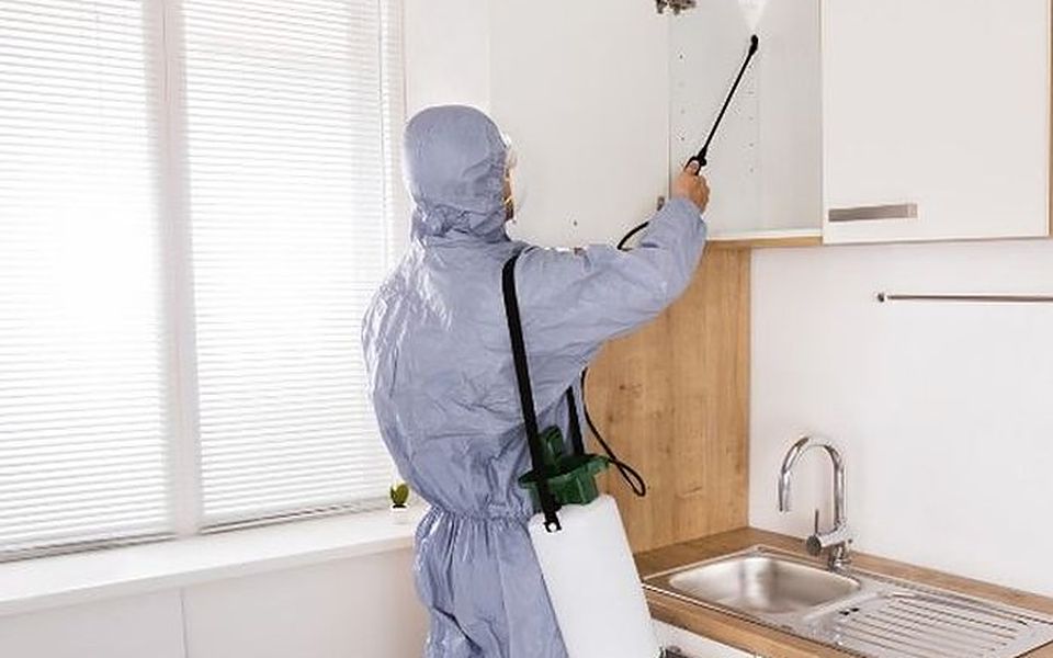 Técnica con buzo desinfectando con pulverizador el interior de los armarios de una cocina