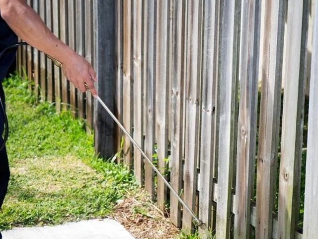 Tratamiento perimetral del césped y la valla del jardín