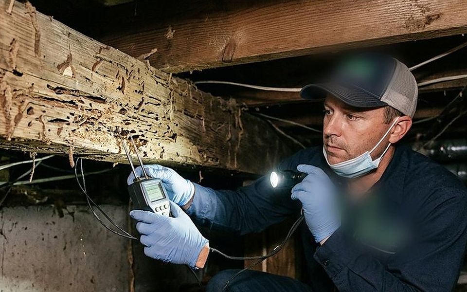 Técnico revisando con linterna una viga de madera en un forjado