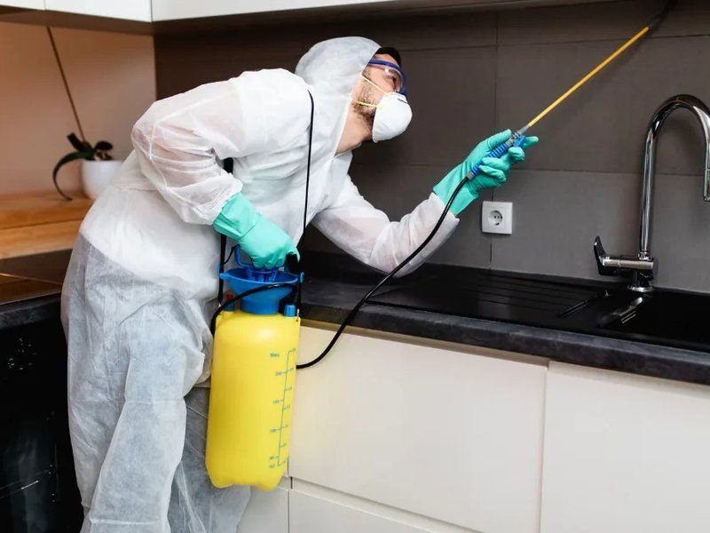 Fumigación y control de plagas en cocinas de hostelería y restaurantes en Córdoba