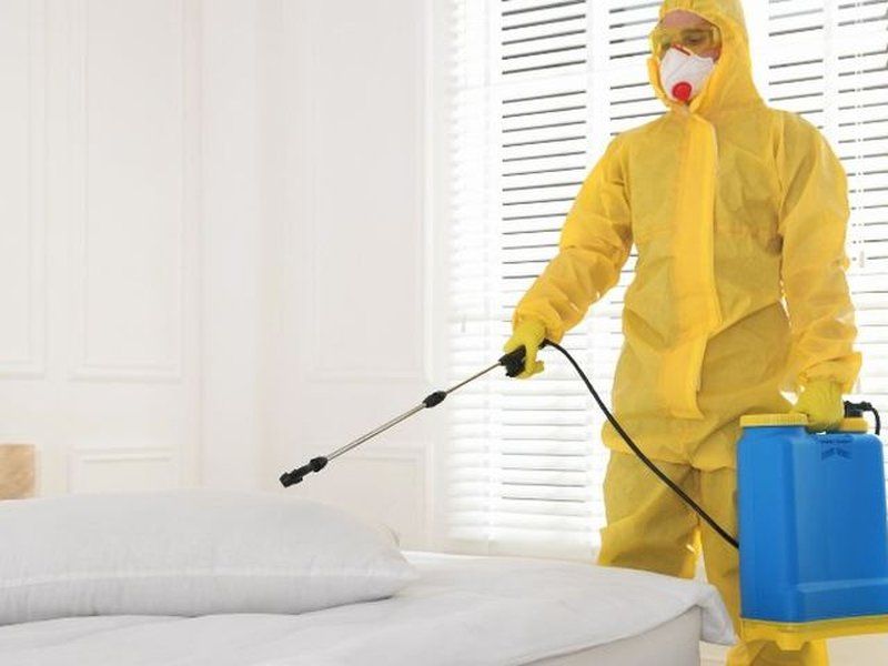 Tratamiento y erradicación de chinches de cama en Córdoba