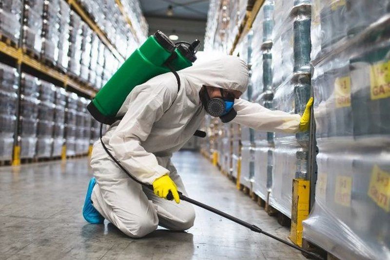 Técnico con pulverizador de mochila tratando depósitos de una bodega de Montilla, Córdoba